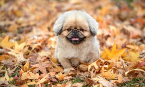 口コミ見方を知って賢く選ぶためのポイントは？