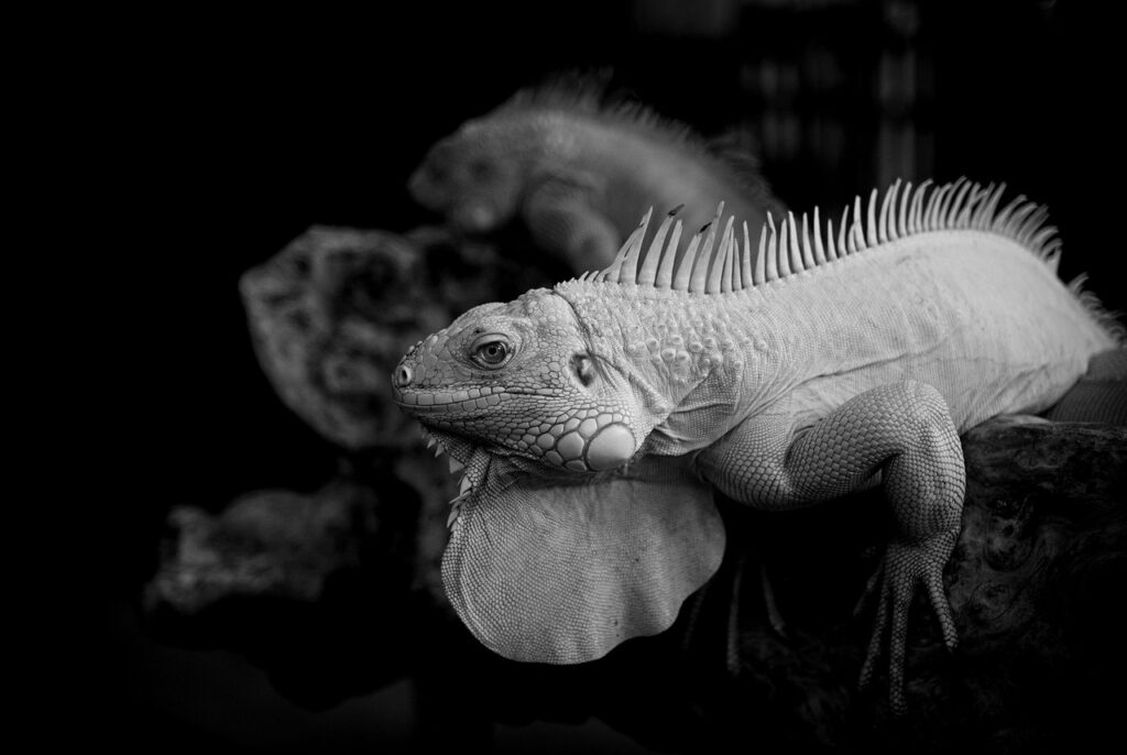 引っ越し補助とはどのような制度で、誰が受けられるの？