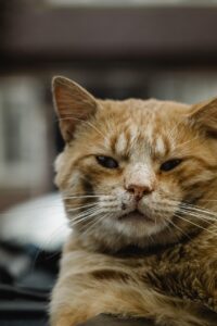 転職におけるリファラル採用のメリットとは？