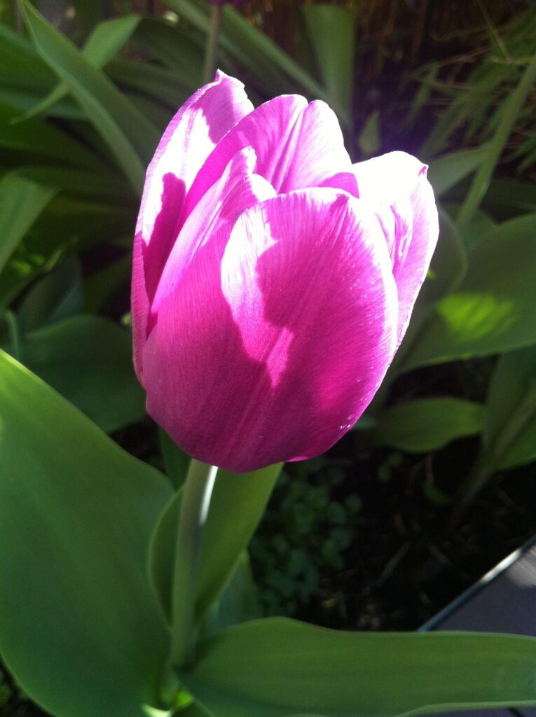 indeedの口コミの見方を徹底解説しますか？