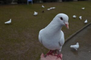 転職に役立つ無料診断を受ける方法は？