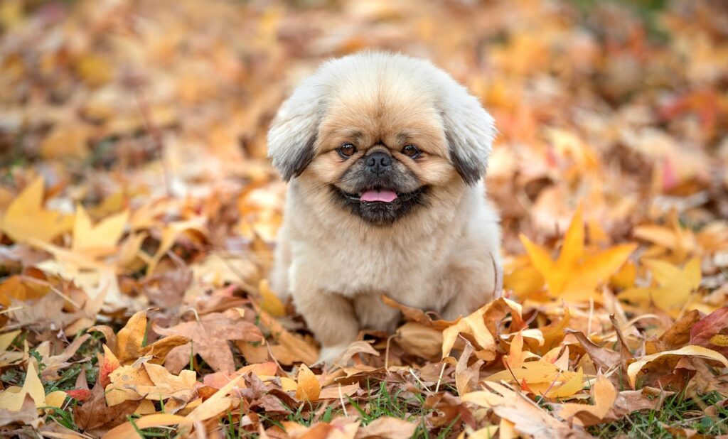 転職における適性を見極めるためのポイントは？