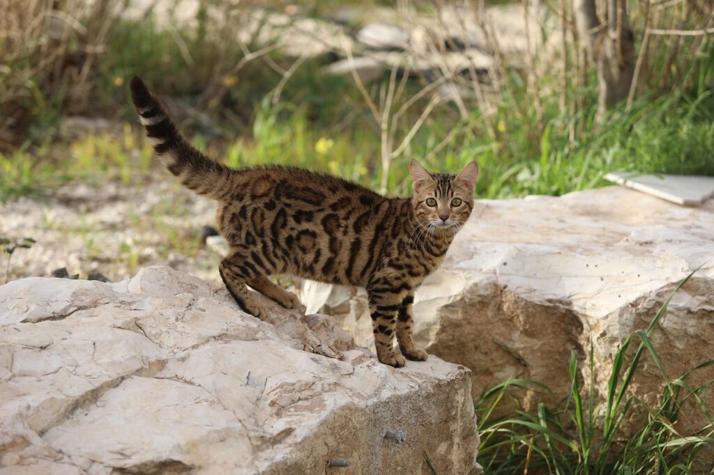 転職で失敗しないためのブログの書き方は？
