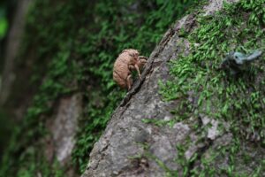 退職願と退職届の違いを知るべき理由は？