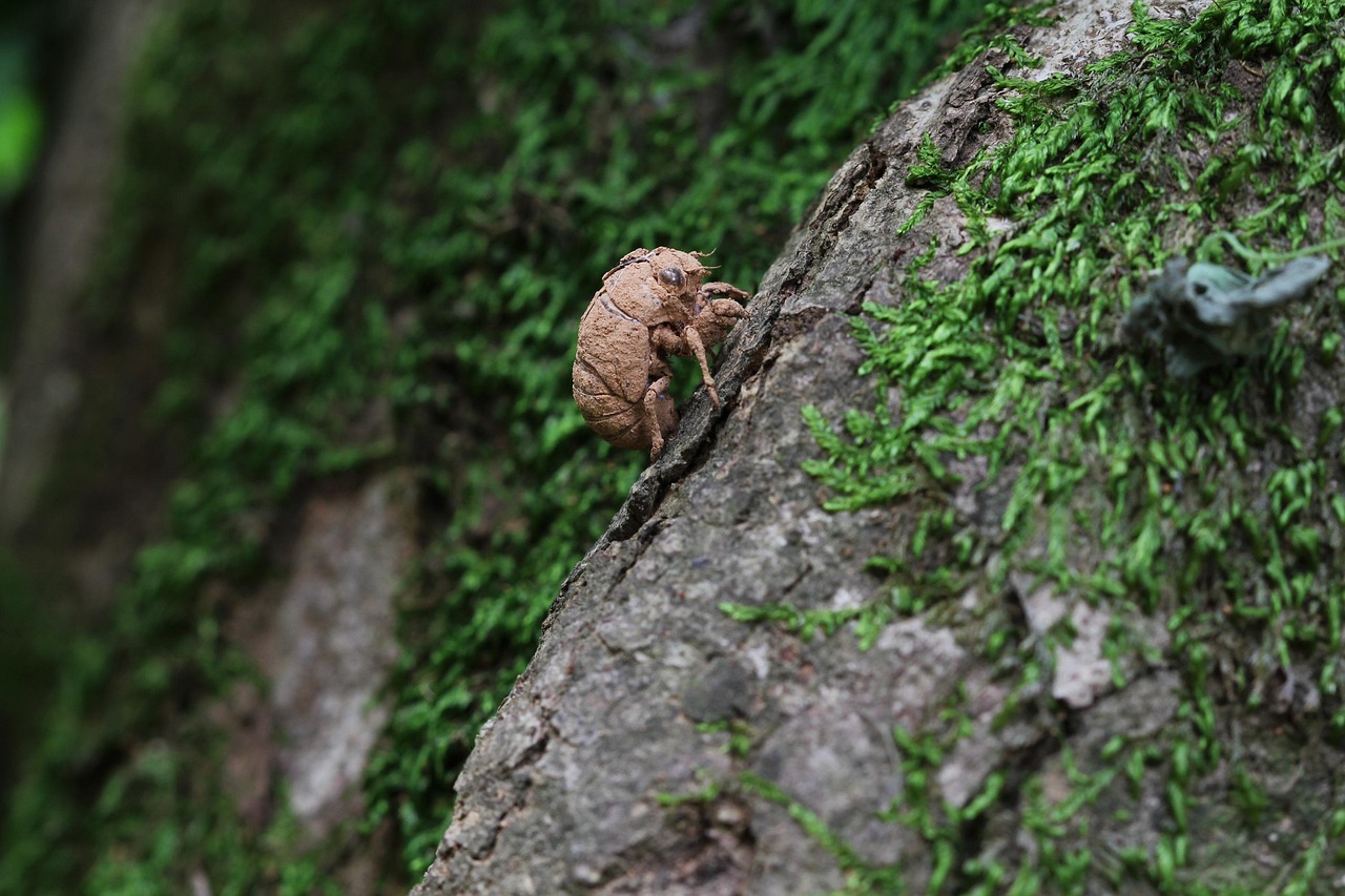 退職願と退職届の違いを知るべき理由は？