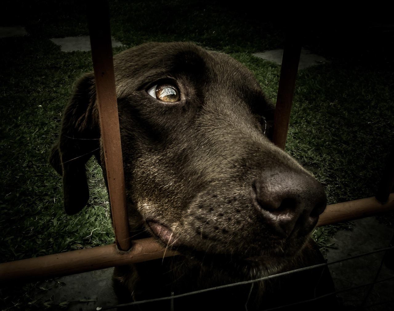 中途採用を辞退する際の適切なマナーとは？