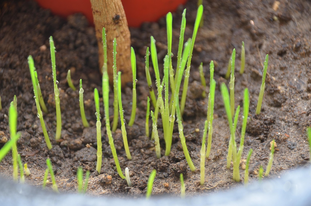 転職を考える際のブランク半年の理由とは？