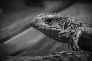 退職後の相談を転職に併用する方法は？