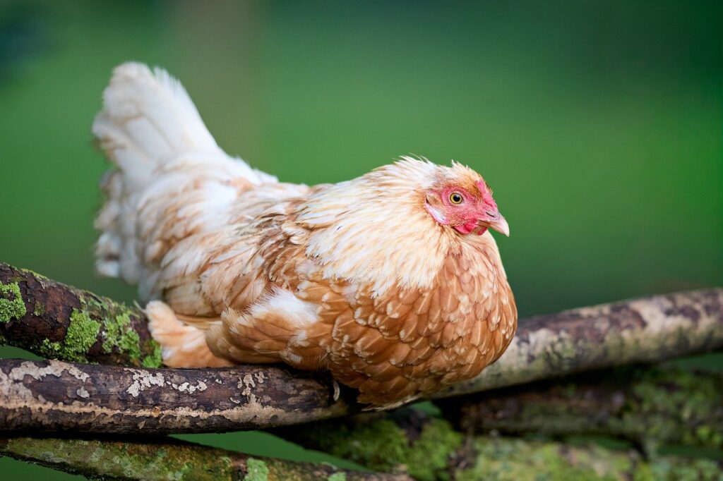 転職相談は何回すべきか？