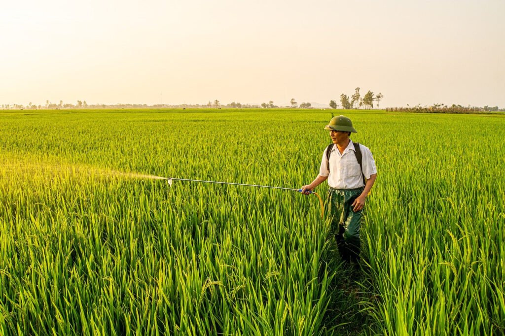 退職から転職を考える際の専門家が語る強みとは？