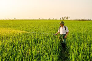 退職から転職を考える際の専門家が語る強みとは？