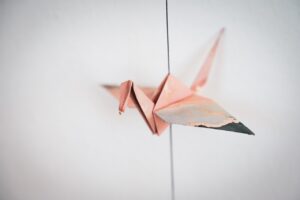 女性の転職成功事例をまとめて知るには？